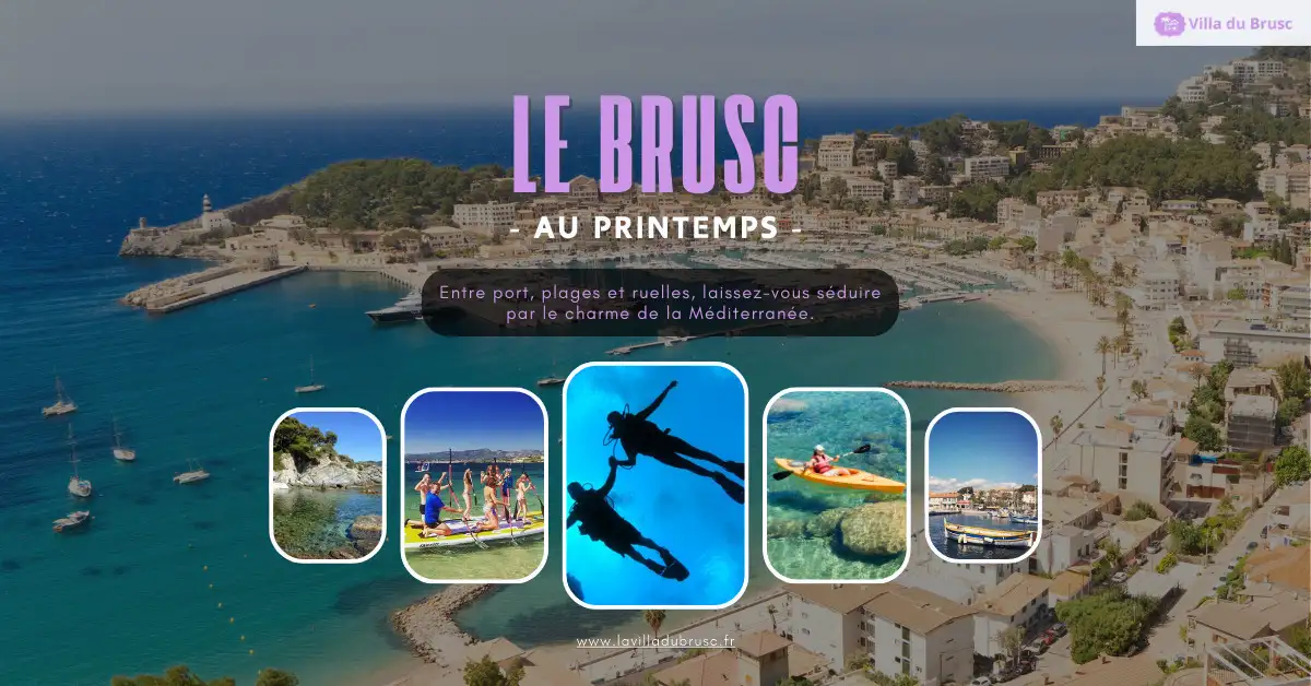 Que faire au Brusc au printemps ? Les activit�s � d�couvrir autour du port